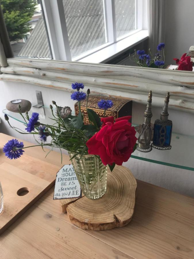 B&B Bij De Zee Centre Of Julianadorp 10 Min From Beaches Luaran gambar
