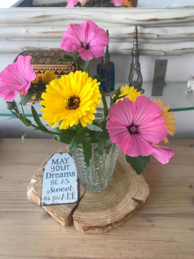 B&B Bij De Zee Centre Of Julianadorp 10 Min From Beaches Luaran gambar